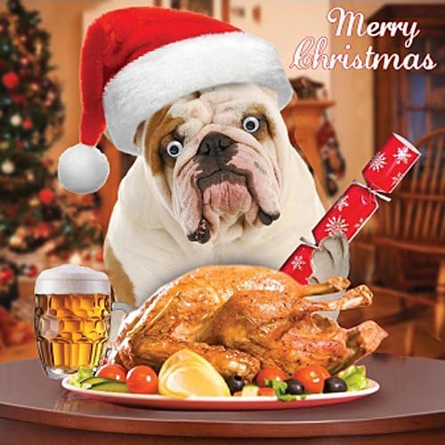Bulldog Dog's Dinner Single Xmas Card 3D Goggly Moving Eyes