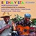 Produktbild Buena Vista Club Havana
