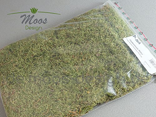 Frühlingsdeko Moos 1 Lage Natur Moosmatten, Deko Flachmoos, Moosplatten zur Dekoration mit Moss; Frühlingsdeko Dekomoos für Floristen - 2