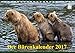 Produktbild Der Bärenkalender 2017 (Tischkalender 2017 DIN A5 quer): Grizzlybären - ein Fotoshooting der besonderen Art (Monatskalender, 14 Seiten ) (CALVENDO Tiere)
