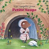 UNE SURPRISE POUR PETITE TAUPE (GRAND FORMAT)