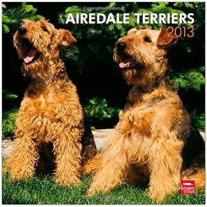 Airedale Terriers 2013 Calendar Airedale Terriers 2013 Calendar