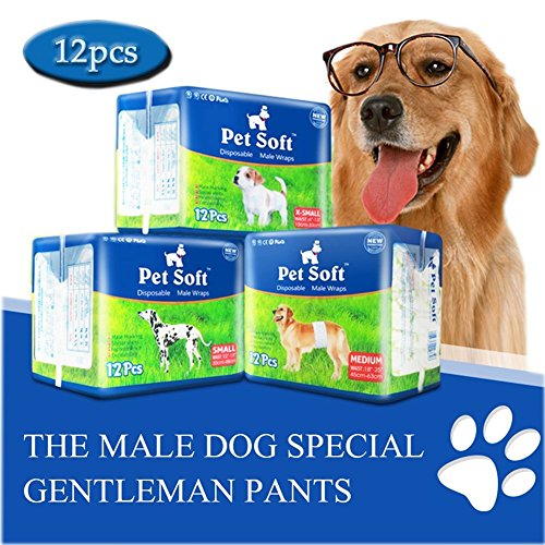 Preisvergleich Produktbild Pet Soft Einweg Male Wrap Hund Windel, 12