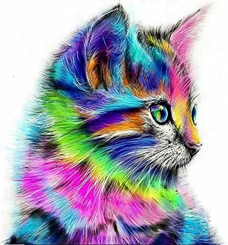 Paint by Numbers Kits Diy Canvas Oil Painting for Kids, Students, Adults Beginner - Colorful cat 16x20 inch with Brushes and Acrylic Pigment, Without Frame