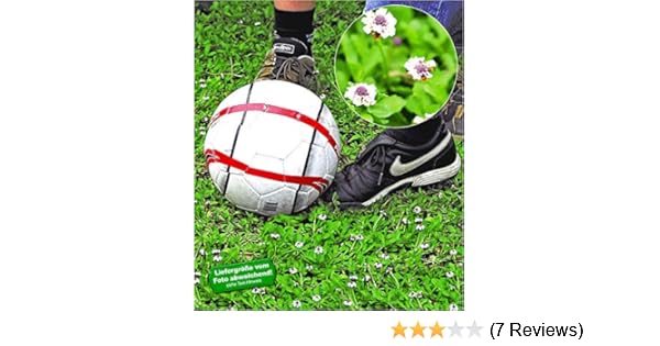 Sunnylaxx Dreieck Rechtwinklig 3x3x4 2m Sonnensegel Sonnenschutz Garten Uv Schutz Wetterbestandig Hdpe Segel Sand Sidra Hospital