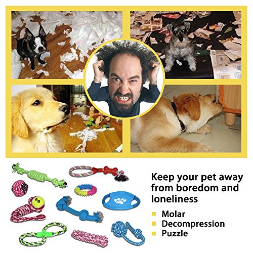 Pet-Dog-Rope-Toy-for-Small-to-Medium-Dogs-Set-of-10-Variety-Training-Toy-Gift-Set-for-Puppy-Doggie-Teeth-Cleaning-Assortment-of-Tassels-Tug-Rope-Chew-Cutton-Ball-Rubber-Dental-Toy