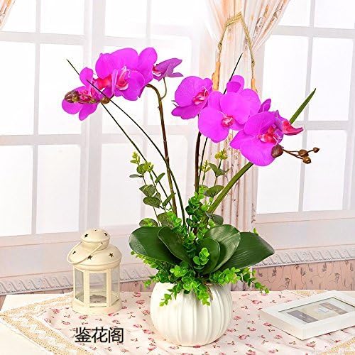 FZH FWEHUI Decoration artificial flowers Phalaenopsis Silk Purple sludge from wrong