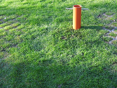 Maulwurfshügel-Ex - 6