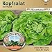 Produktbild Kopfsalat Tom Thumb Saatband für Balkon & Terrasse früher Mini Salat ideal für Singles 43015 Salat