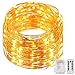 GDEALER 10M 100er LED Lichterkette 8 Modi Außenbeleuchtung Batteriebetrieben Kupferdraht Wasserdicht IP65 mit Fernbedienung für Outdoor, Innenbeleuchtung, Garten, Hochzeit, Party, Weihnacht und Haus Deko – Warmweiß …