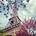 Produktbild Alu-Dibond-Bild 40 x 40 cm: "Colorful flowers around Tour Eiffel in the spring", Bild auf Alu-Dibond