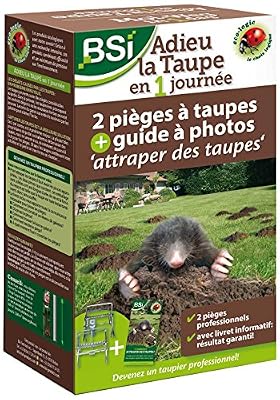 BSI Adieu La Taupe en 1 Journée 2 Piège professionnels