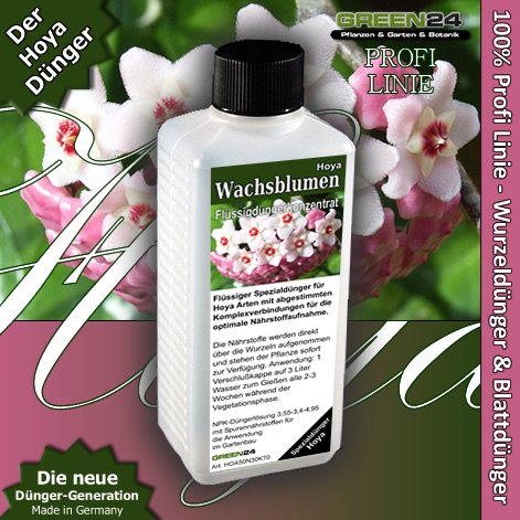 Hoya Dünger Wachsblumen düngen Flüssigdünger HIGHTECH