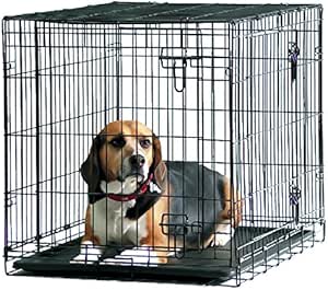 beagle cage size