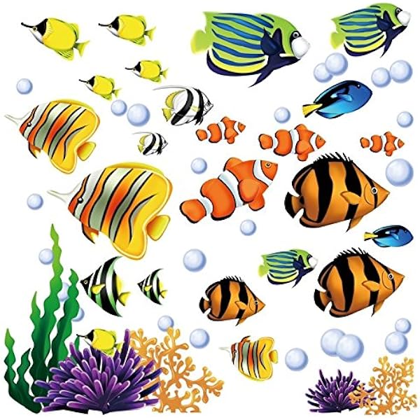 Buy Under The Sea Tropical Fish Nursery Kids Room Wall Art Sticker Decals Online At Low Prices In India Amazon In Buy Under The Sea Tropical Fish Nursery Kids Room Wall Art Sticker Decals Online At Low Prices In India Amazon In