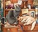 Produktbild LRG. Ted Anna und der Grau & Ginger Katzen, Kunstdruck von Geoff Tristram, Persisch Blau und Persischen Katzen Bild Größe ca. 30,5 x 30,5 cm ca.