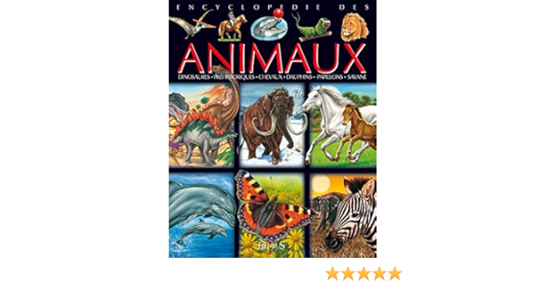 Amazon Fr Les Animaux Compilation Grande Imagerie Fleurus Livres Amazon Fr Les Animaux Compilation Grande Imagerie Fleurus Livres