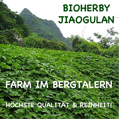 JIAOGULAN TEE – BIO AUS BERGTÄLERN – BIO ZERTIFIZIERT | BIOHERBY® - 5