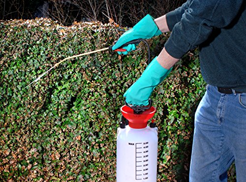 Connex COX938516 Handschuhe Acryl-Nitril, Gr. 10 - 6