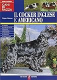 Il cocker inglese e americano