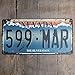 Produktbild eureya nevade 599 MAR Auto Nummernschild Auto Tag Home/Cafe Bar/Pub/Restaurant/Ausstellung Wall Decor Poster Vintage Plaque 15,2 x 30,5 cm