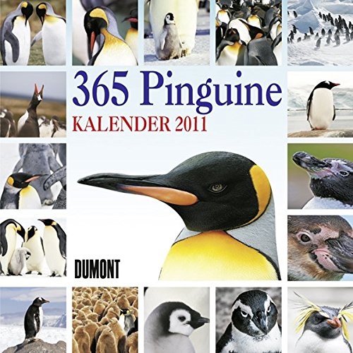 365 Pinguine- Kalender 2011