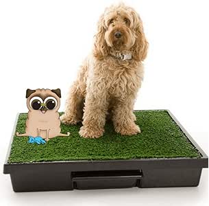 fake grass for dog toilet