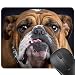 Produktbild TS-nslixuan-Die Green Eyed Wolf Gummi Spiel Persönlichkeit Office 240 x 200 (mm) Desktop Computer Schreibtisch Pad 3 mm Dick 90G Maus Pad, Mops Hund