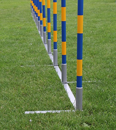 Introductory-offer-dog-agility-weave-poles-12X60cm-straight-weaves-for-training-and-kennel-club-competition