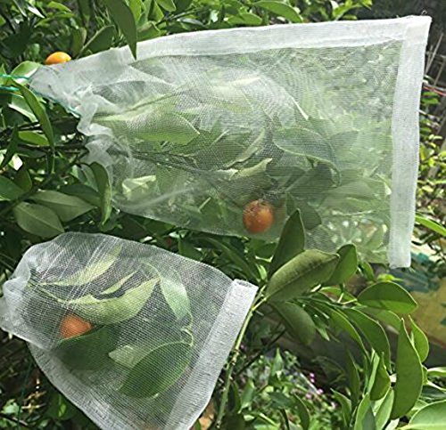 wiederverwendbar erzeugen Mesh Tasche, Set von 5/7/12, leicht waschbar Mesh Tasche für Lebensmittels Veggie Obsthorde Shopping (30,5 x 43,2 cm 30,5 x 35,6 cm, 30,5 cm 20,3 cm gemischt) Set of 5 - 5