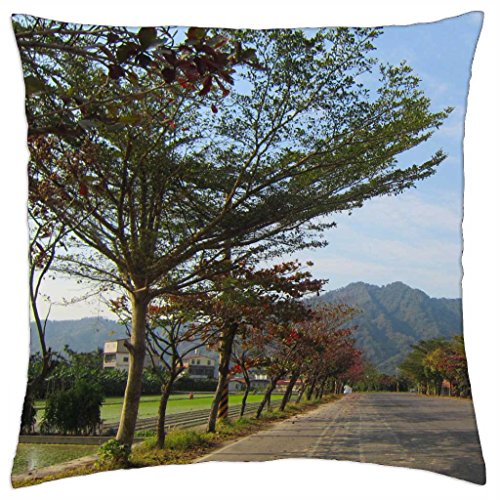 Preisvergleich Produktbild Country road - Throw Pillow Cover Case (18