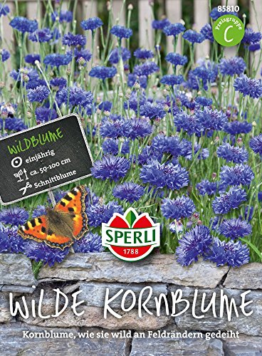 Sperli Wilde Kornblume