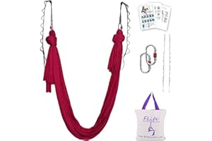 F.Life Aerial Silk Yoga Hammock & Swing for yoga Inversion,Strength training,starter hardware kit