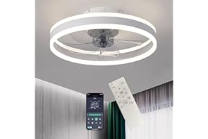 ‎QCUGVY QcuGvy Fan Light Diameter 50 cm Ceiling Fan with Lighting and Remote Control Modern 73 W Quiet Ceiling Light with Fan Lamp Remote Control Dimmable Quiet Ceiling Fan Light (White)