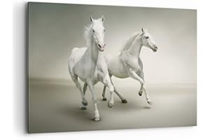 ARTTOR Wall Art Decoration animals arab horse farm Canvas Print 120x80cm Canvas Picture Framed Living Room Bedroom Kitchen Printed Modern Artwork Large XXL Home Decor Photo Gallery AA120x80-2387