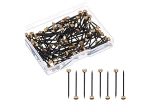 COSSWE 50 chiodi in ottone per foto in acciaio temprato, per foto, da parete, 1 pollice di lunghezza, con scatola in plastica, per montaggio a parete