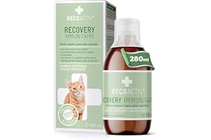 RECOACTIV Recovery Immunitaire pour Chats, 1 x 280 ML, Alimentation diététique complète hautement calorique en Cas de dénutrition et de Convalescence Ainsi pour la Prise de Poids