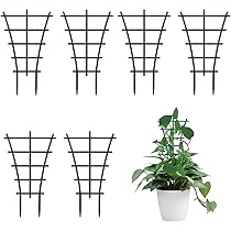 Struttura Rampicanti Windhager Per Vasi - Confezione Da 2 Pezzi - Foto 12