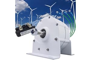 FABLESTORYEM Alternateurs de Générateur de Générateur 12000W 12V 24V 48V 120V 220V 3 Phases Animment Permanent sans Engrenage RPM Faible pour le Moteur Diesel À Turbine À Eau Éolienne (avec Base),220V