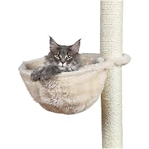 Katzenbaum Bodendeckenhoch, Höhenverstellbar Bis 3m, 6 Ebenen Mit Aussichtsturm & Katzennest