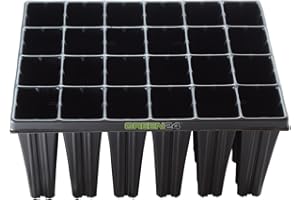 GREEN24 Baumschulen Platte Topfplatte Anzuchtplatte QP 24T16 BTP mit 24 Pflanztöpfen für Gehölze, Koniferen, Tiefwurzler, Platte 28x36cm (24 eckíge Töpfe BxLxH 55x60x160 mm)