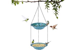 WodGod Premium Glass Bird Bath, Hanging Double Layer Garden Decoration for Yard and Outdoor