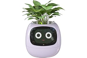 Masdio Vasi da fiori intelligenti, con intelligenza artificiale, visualizzazione della temperatura e numerose animazioni espressive basate sull'ambiente, per la decorazione di interni (viola)