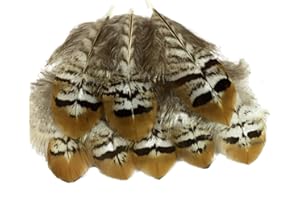 Sowder fagiano piumaggio piume Pheasant Feather1