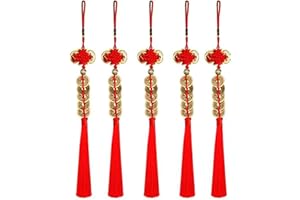 NIWIEOI 5 PCS Chinese Fortune Coins,Chinese Coins,Chinese Lucky Charms,Feng Shui Ornaments,Chinese New Year Decorations,Chinese New Year Party Decorations,Lunar New Year Decorations 2025