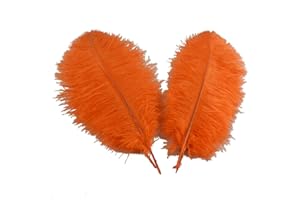 Sowder - Plumas de avestruz para decoración de bodas (5 unidades, 40 - 45 cm)