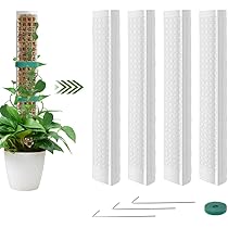 Sfagno Del Madagascar 5 Litri - Substrato Per Idrocoltura E Coltivazione Piante - Foto 2