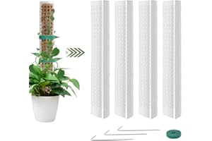 Vicloon Tuteur Plante en Plastique,4pcs Tuteur Monstera, Tuteurs Plante Grimpante, Poteaux en Mousse Transparent,Poteaux Grimpantes pour Maison Jardin de Support de Plantes