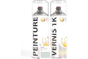 ipixline Kit Retouche Peinture Carrosserie Voiture - Bombe Aérosol Peinture Auto 400 ml, Vernis Brillant 1k 400 ml - Compatible avec Dacia - Blanc Glacier 369