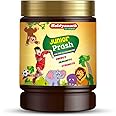 Baidyanath Junior Prash - 500g | Helps in Good Immunity | Increases Strength and Stamina | Healthy Growth |